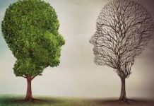 Underlying Molecular Mechanism of Bipolar Disorder Revealed