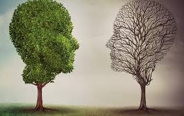 Underlying Molecular Mechanism of Bipolar Disorder Revealed