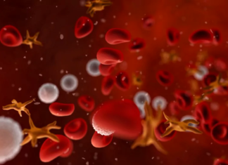 Limitless blood supplies : become reality
