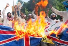 Profile of Britain jihadists