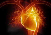 Israel : New way to combat heart disease stroke
