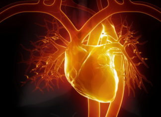 Israel : New way to combat heart disease stroke