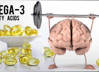 Surprising Role Omega-3 Fatty Acids Play in Keeping Blood-Brain Barrier Closed