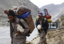 Sherpas : evolved superhuman energy efficiency