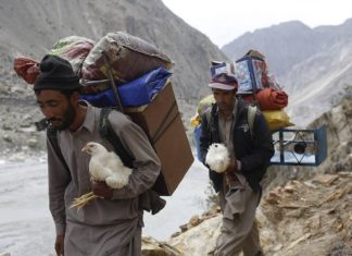 Sherpas : evolved superhuman energy efficiency