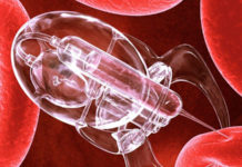 Developed a technique able manufacture DNA Nanostructures for Drug Delivery