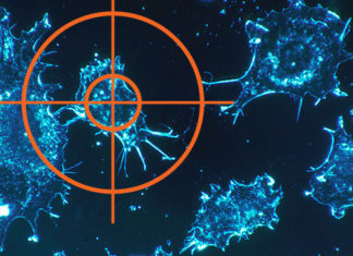 A new weapon for the war on cancer