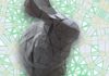 Algorithm generates optimal origami folding patterns for any shape