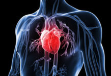 An innovative biologic system for photon-powered myocardium in the ischemic heart