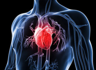 An innovative biologic system for photon-powered myocardium in the ischemic heart