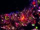 Sub–100-nm metafluorophores with digitally tunable optical properties self-assembled from DNA