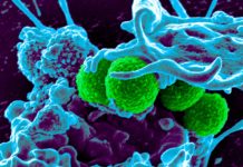 Israeli researchers claim breakthrough in fighting bacterial drug resistance