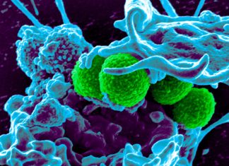 Israeli researchers claim breakthrough in fighting bacterial drug resistance
