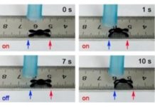 Moisture-responsive robots crawl with no external power source