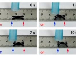 Moisture-responsive robots crawl with no external power source