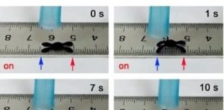 Moisture-responsive robots crawl with no external power source