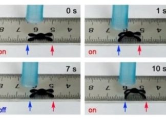 Moisture-responsive robots crawl with no external power source