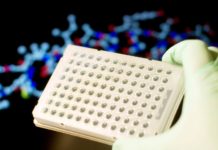 Organ Chips : powerful tools to study the physiology of human organs