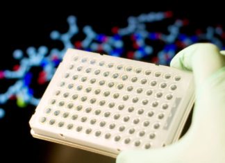 Organ Chips : powerful tools to study the physiology of human organs