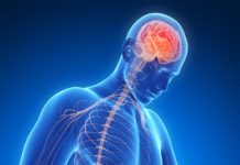Parkinson’s Associated Protein Linked to Human Upper GI Tract Infections