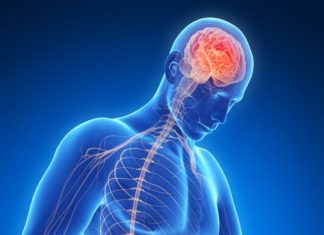 Parkinson’s Associated Protein Linked to Human Upper GI Tract Infections