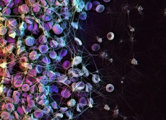 Tethered Liquid Perfluorocarbon (TLP) : a non-stick coating for medical devices