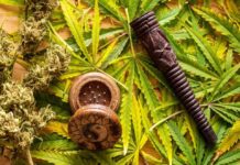 THC : Low Dose Can Relieve Stress But More Does Just the Opposite