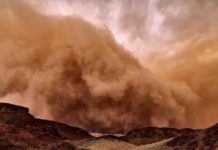 The dust storm microbiome