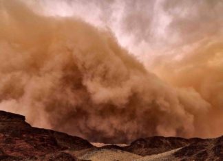 The dust storm microbiome