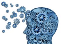 Brain : Memory Loss – Cognitive Decline Linked to Blood Vessel Disease