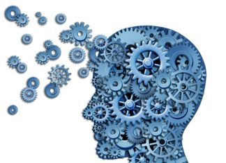 Brain : Memory Loss – Cognitive Decline Linked to Blood Vessel Disease