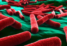 New weapon to fight dangerous infection : Bioelectricity