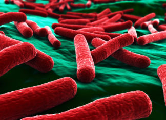 New weapon to fight dangerous infection : Bioelectricity