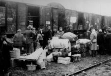 Forgotten history : World War II – Polish refugees in Iran