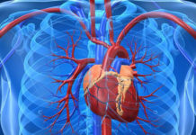 Developed a technique able manufacture heart valves with regenerative potential