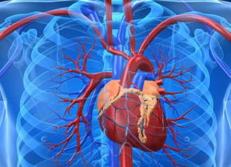 Developed a technique able manufacture heart valves with regenerative potential