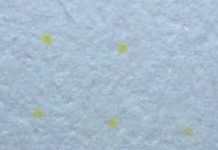 Is Your Printer Spying on You? Yellow Dots of Mystery