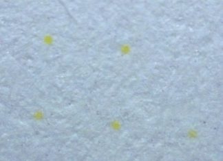 Is Your Printer Spying on You? Yellow Dots of Mystery