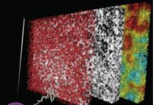 Biological mystery of DNA organization now solved