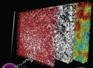 Biological mystery of DNA organization now solved