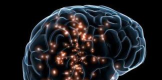 Brain’s Immune Cells May Drive Overeating and Weight Gain