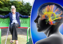 Brain cells found to control aging