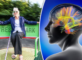 Brain cells found to control aging