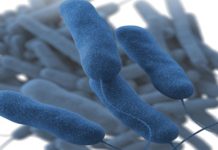 Child living with HIV maintains remission without drugs since 2008