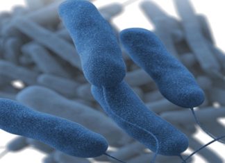 Child living with HIV maintains remission without drugs since 2008