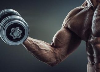 Common strength genes identified for first time