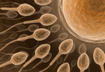Israeli study sounds alarm as sperm count halved in Western men