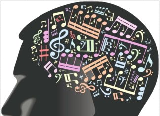 Learning With Music Can Change Brain Structure