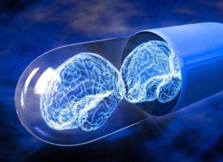 Memory-enhancing drug reverses effects of traumatic brain injury in mice