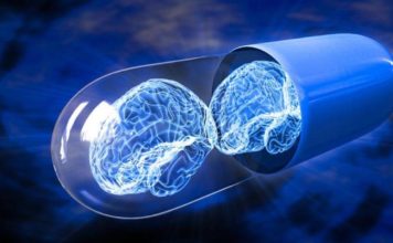 Memory-enhancing drug reverses effects of traumatic brain injury in mice